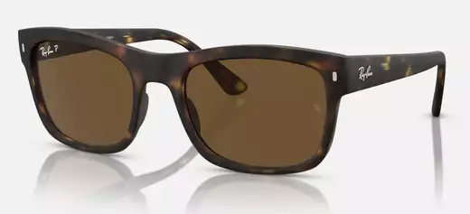 Lunettes Ray Ban à gradignan : la marque de lunettes la plus portée au monde - vue generale - b photo a 8 impasse du mouli...